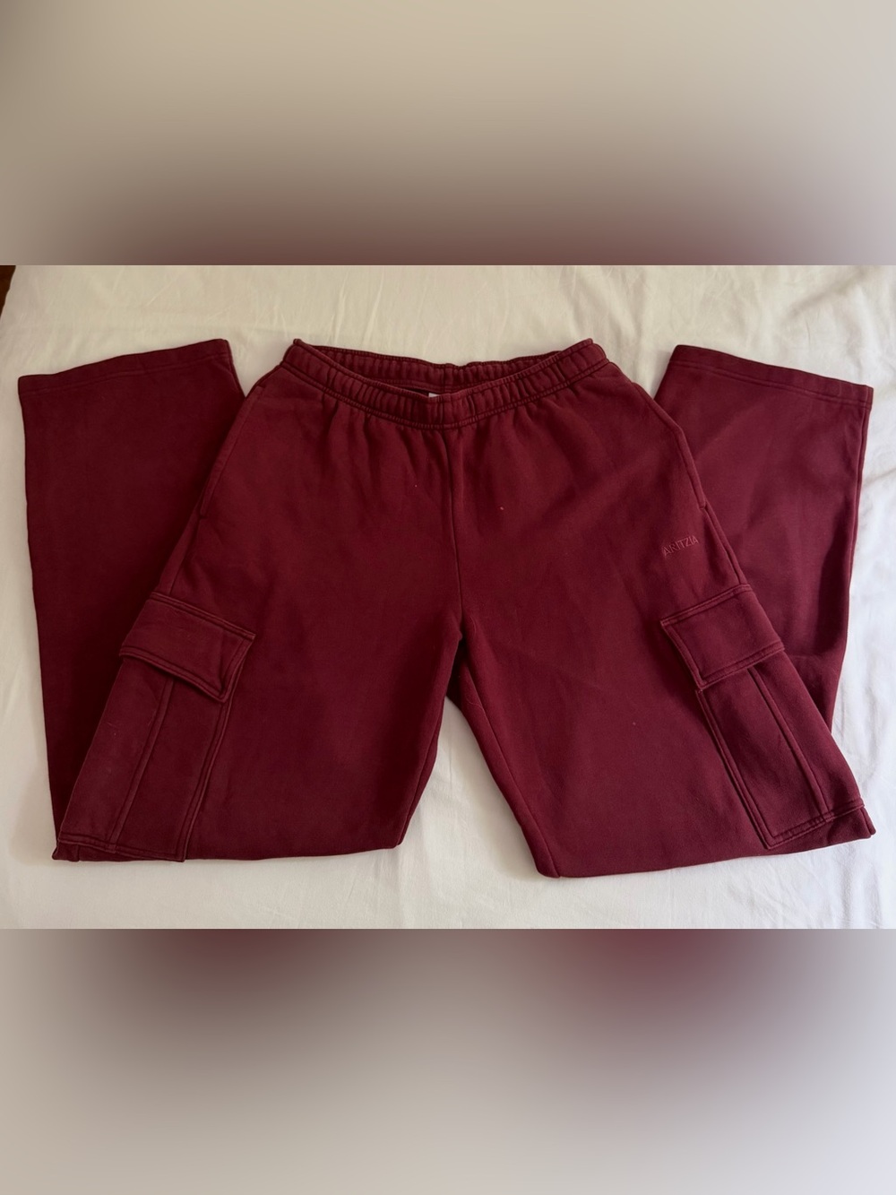 Aritzia Mega fit  Sweat Fleece Cargo Sweatpants